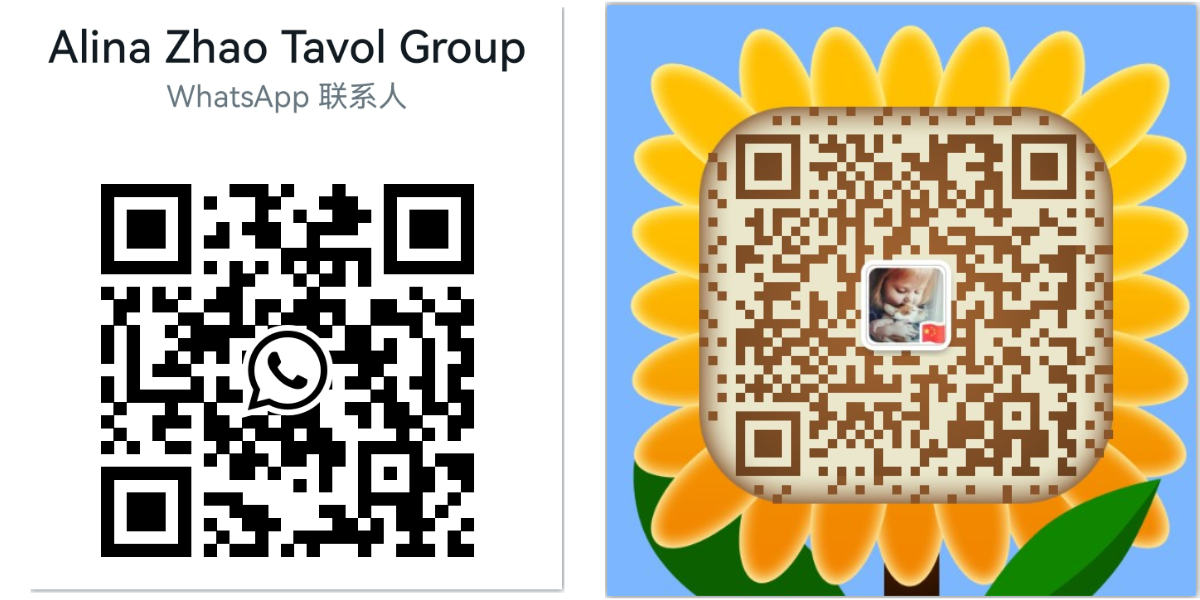 Tavol Diesel Forklift.jpg